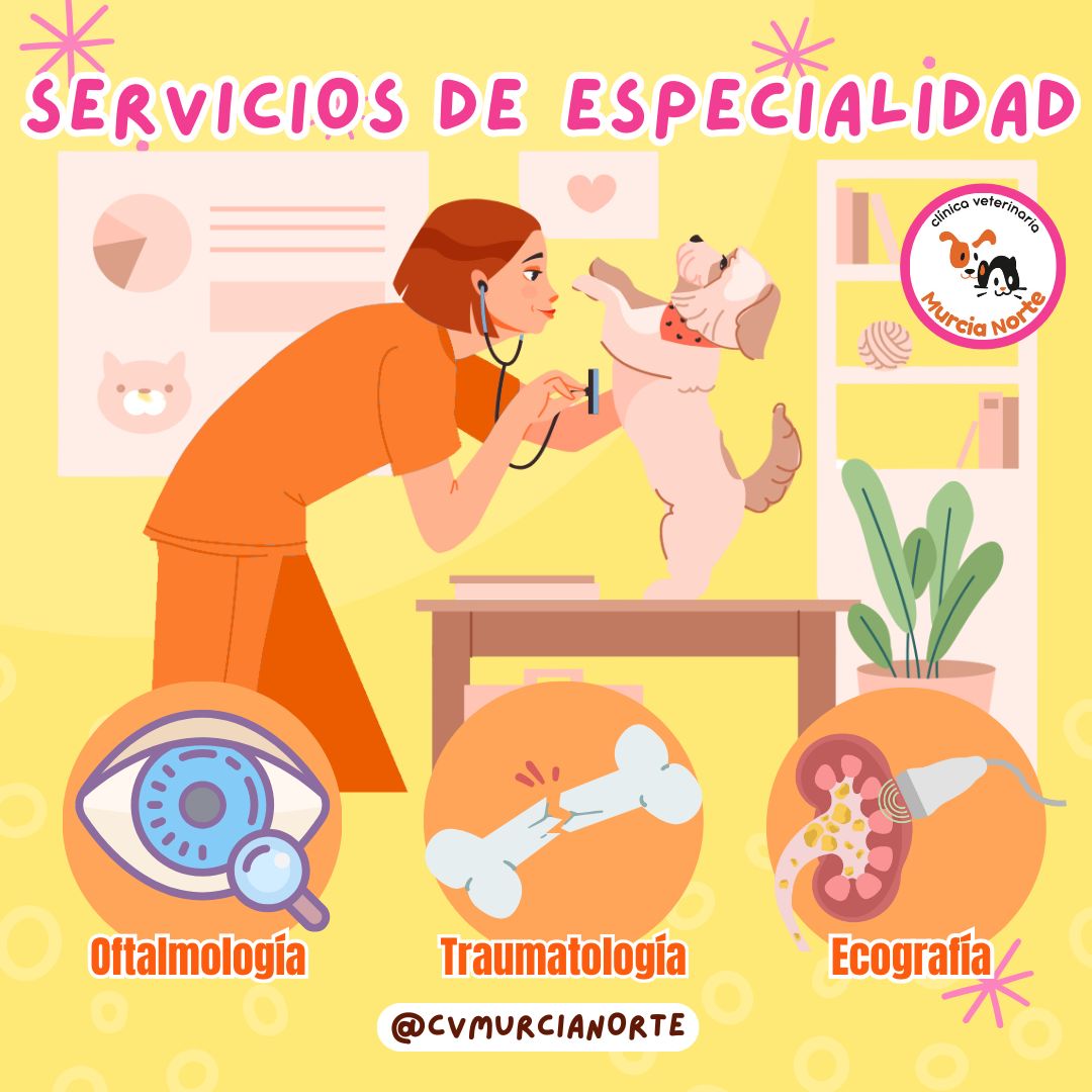 especialidades veterinarias