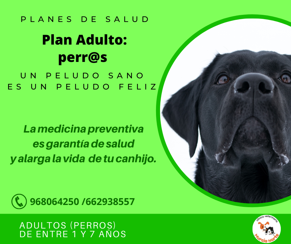 Plan Adulto: perros de 1 a 7 años